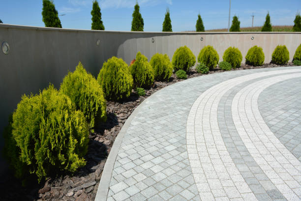 Best Brick Driveway Pavers  in Eureka, MT